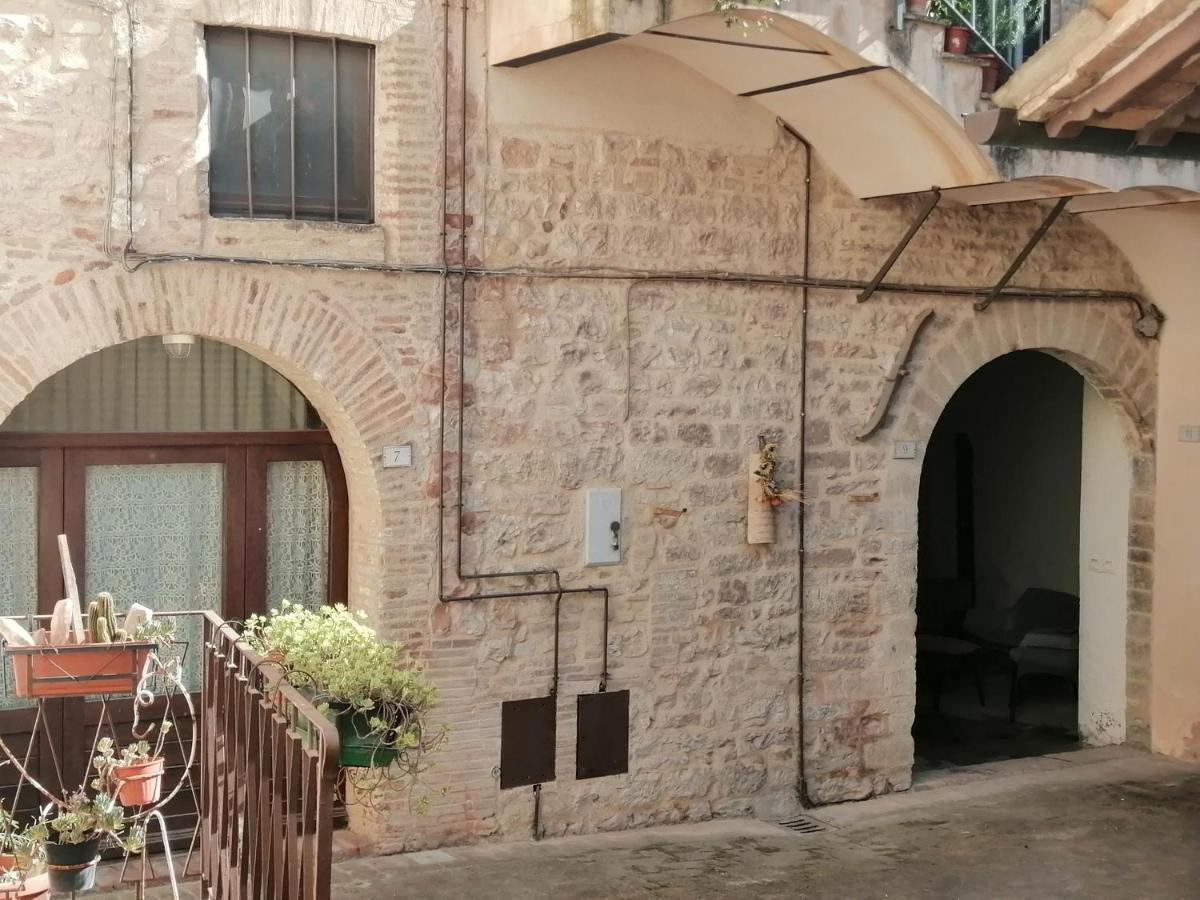 Gabri's Apartment Spello