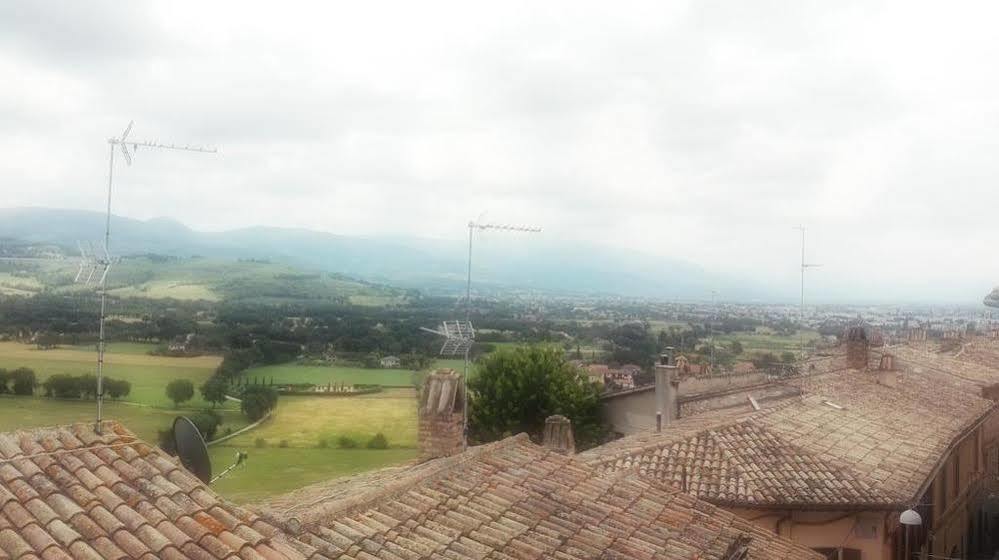 Gabri's Spello